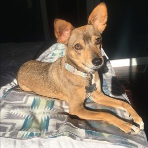 Meet your Posher, Annemarie